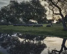 wwwyc620com官网下载今晨送货单